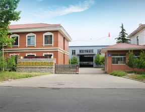公司全景图